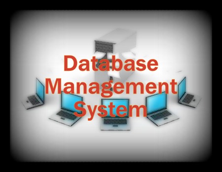 Database Management System (DBMS) – Meaning, Characteristics and Components