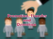 Promotion, Transfer and Demotion
