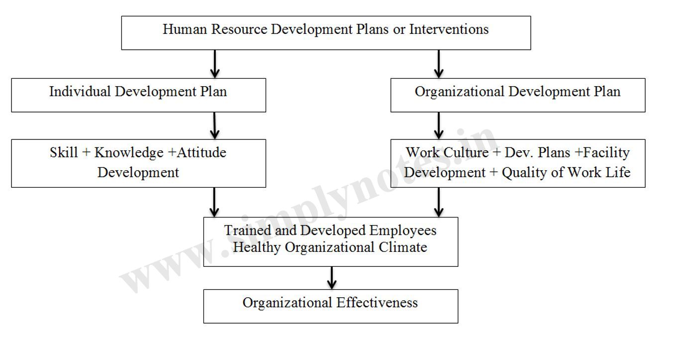 Organisational effectiveness 