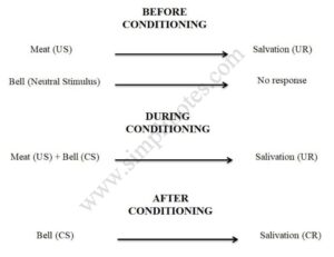 classical conditioning