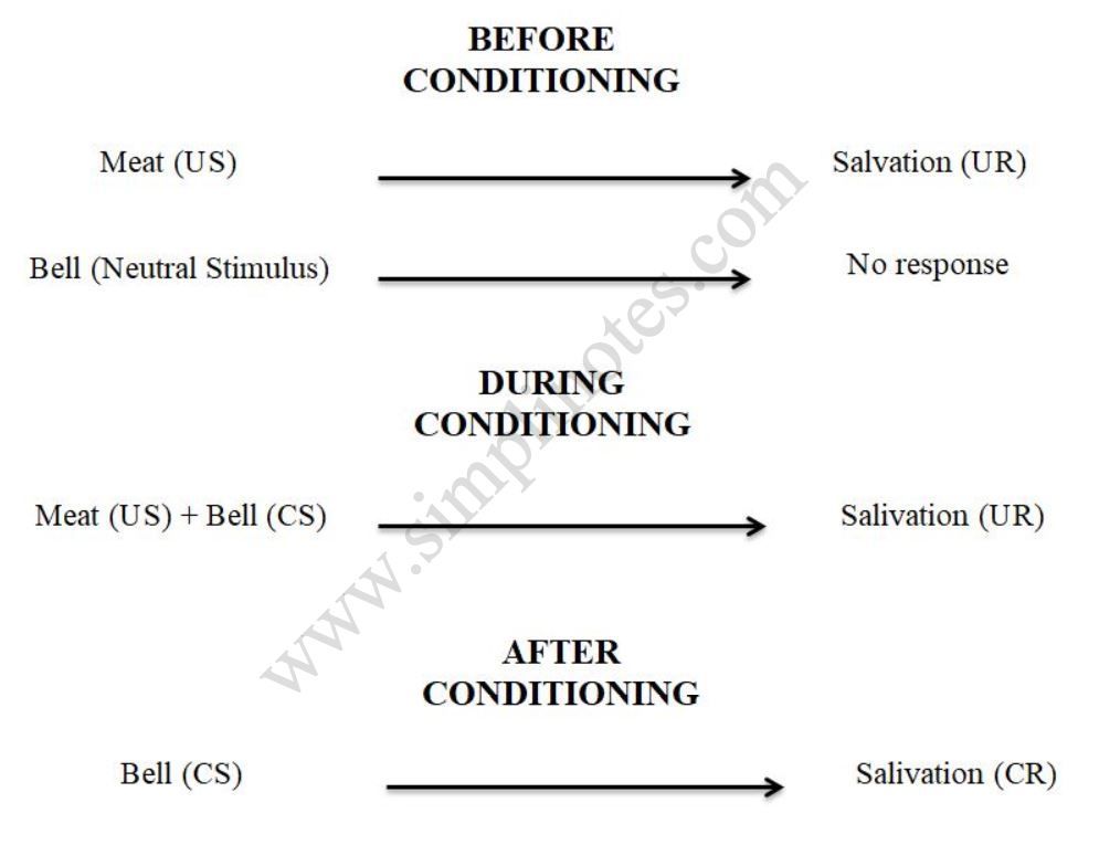 classical conditioning 