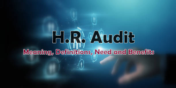 Human resource audit