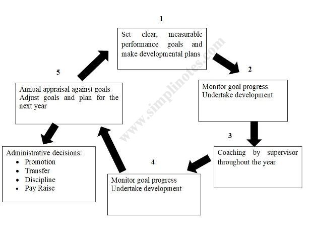 performance-management-cycle 