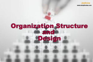 Organization Structure and Design