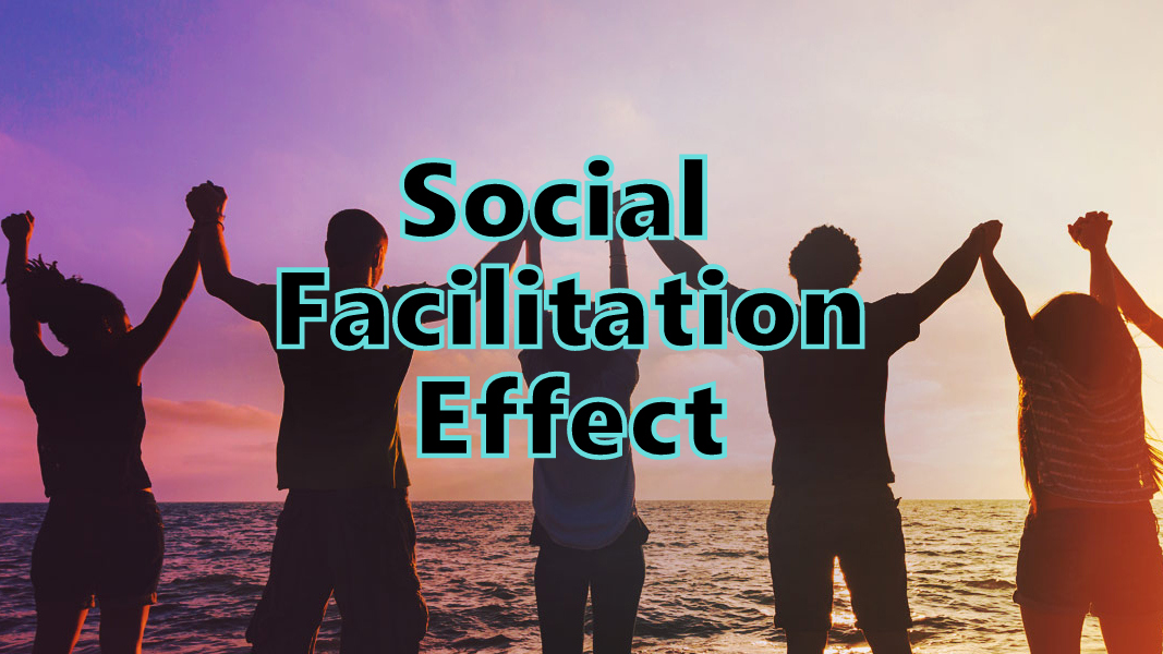 Social Facilitation Effect