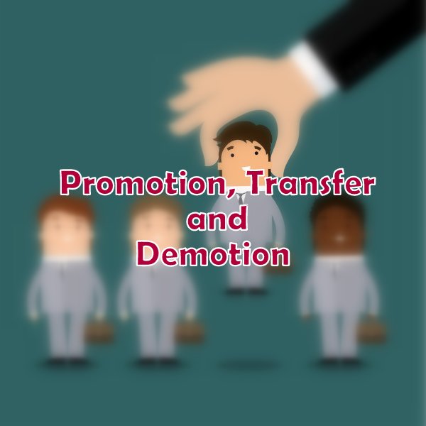 Promotion, Transfer, Demotion