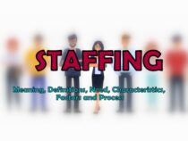 Staffing - Meaning, definitions, characteristics, need, factors, process